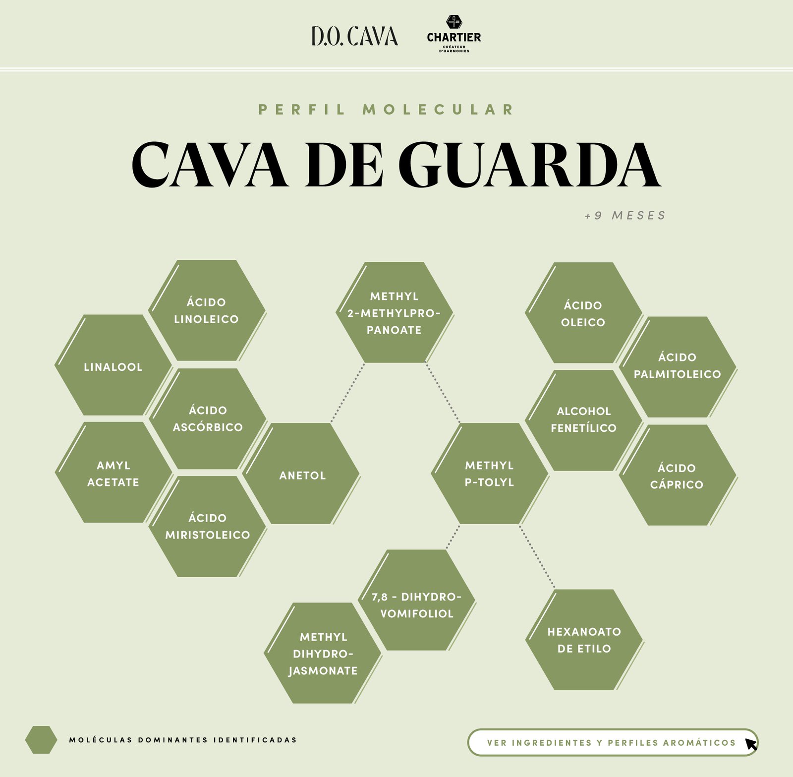 CAST-Summary-Cava-de-Guarda.jpg