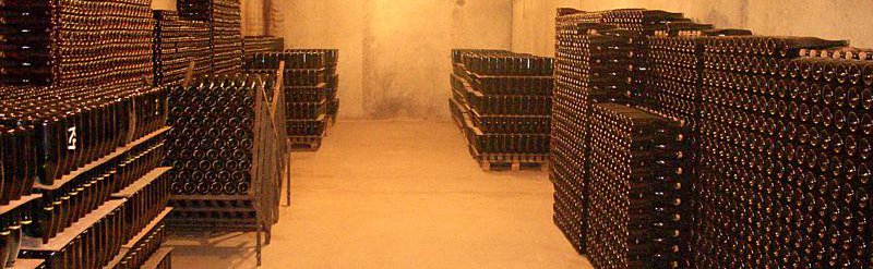 Cava Almirall bodega