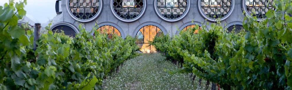 CAVA & HOTEL MASTINELL bodega