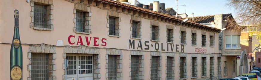 MASOLIVE S.A. bodega