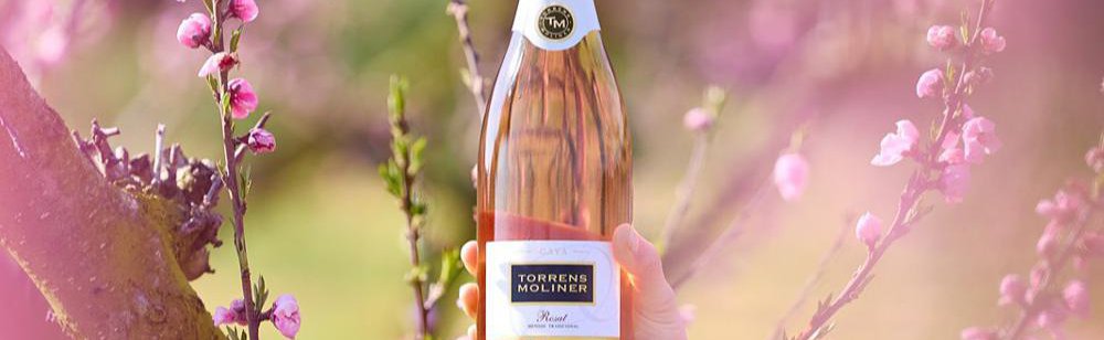 TORRENS MOLINER SL bodega