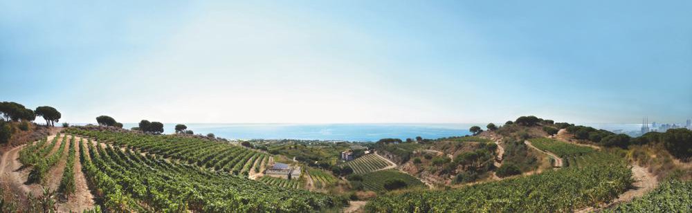 ART LAIETÀ d'Alta Alella bodega