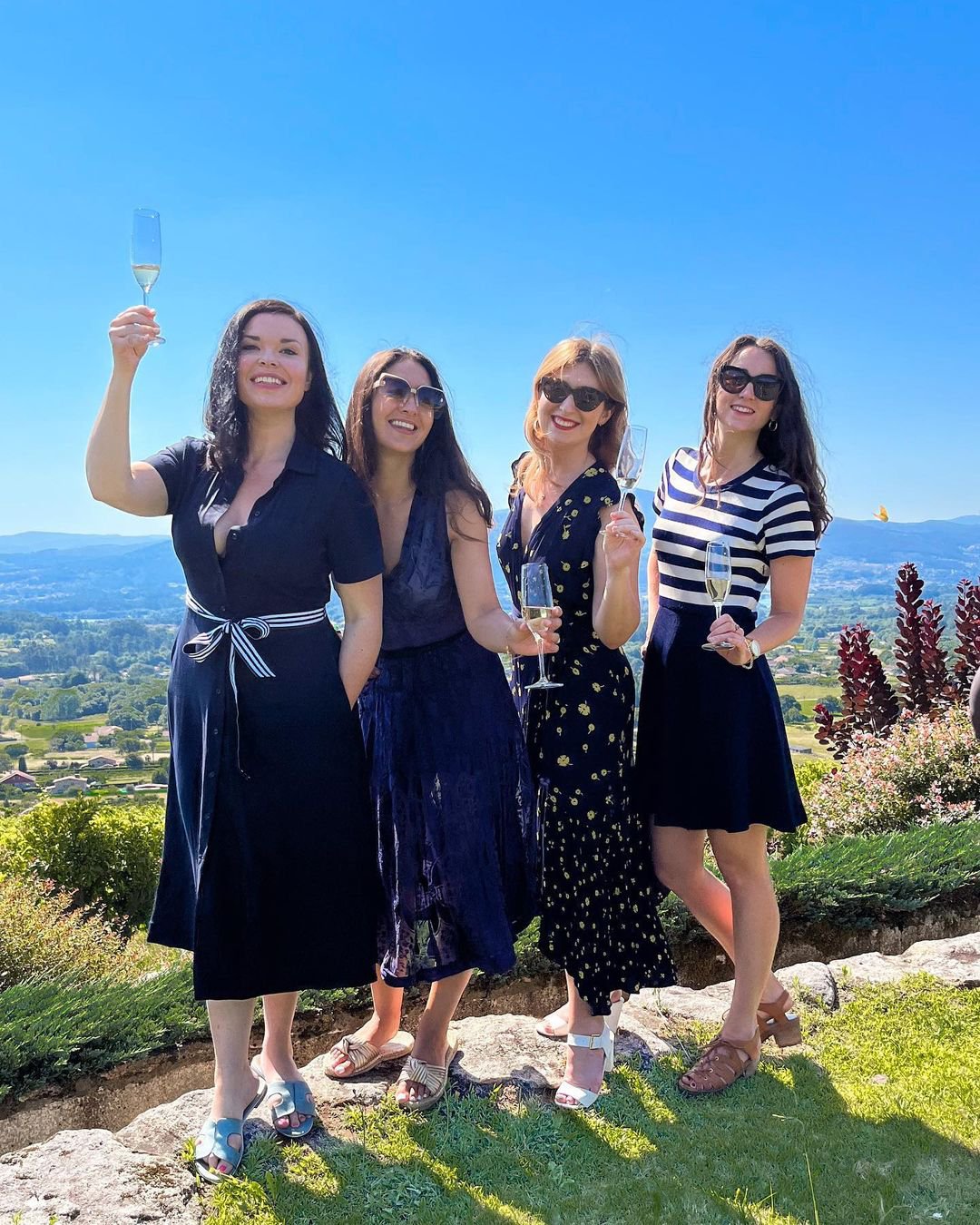 The Wine Collective