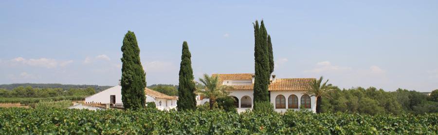 Carol Vallès bodega