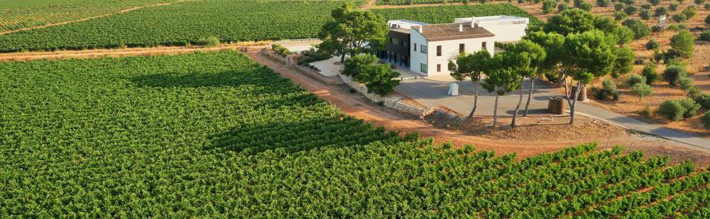 BODEGAS HISPANOSUIZAS S.L. bodega