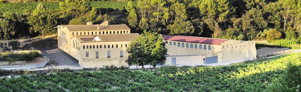 MOLÍ PARELLADA bodega