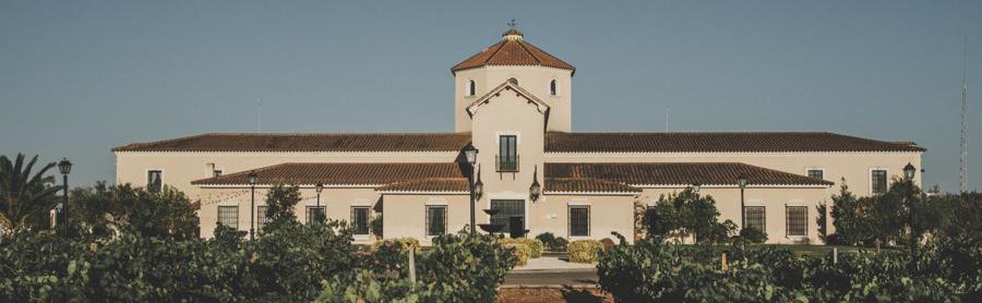 Bodegas Dehesa de Arriba (Grupo Martínez Paiva) bodega