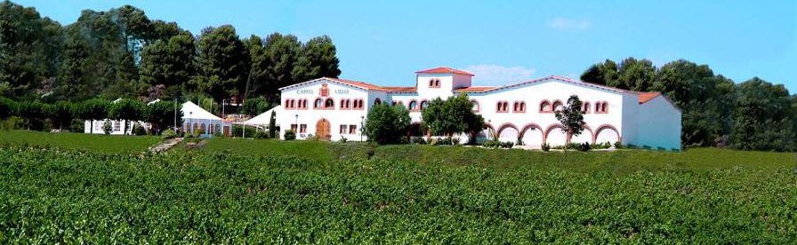 Bodegas Capità Vidal bodega