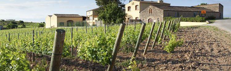 CAVA JOSEP M. FERRET GUASCH bodega