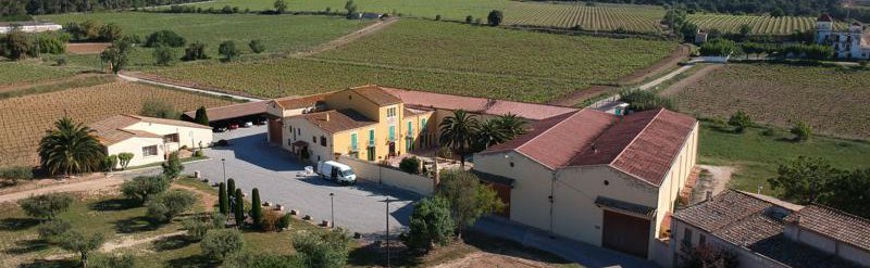 CELLER PARATÓ bodega