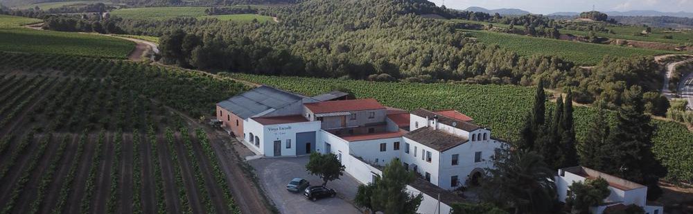 CELLER JORDI LLUCH - VINYA ESCUDÉ bodega