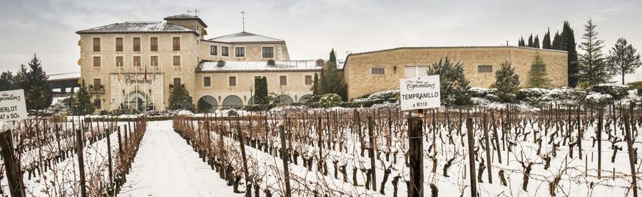 Finca Torremilanos (Bodegas Peñalba López) bodega