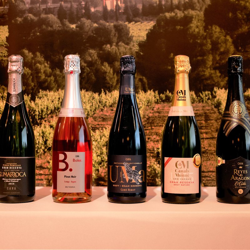 The art of Cava ageing and its strong links with gastronomy triumphs at