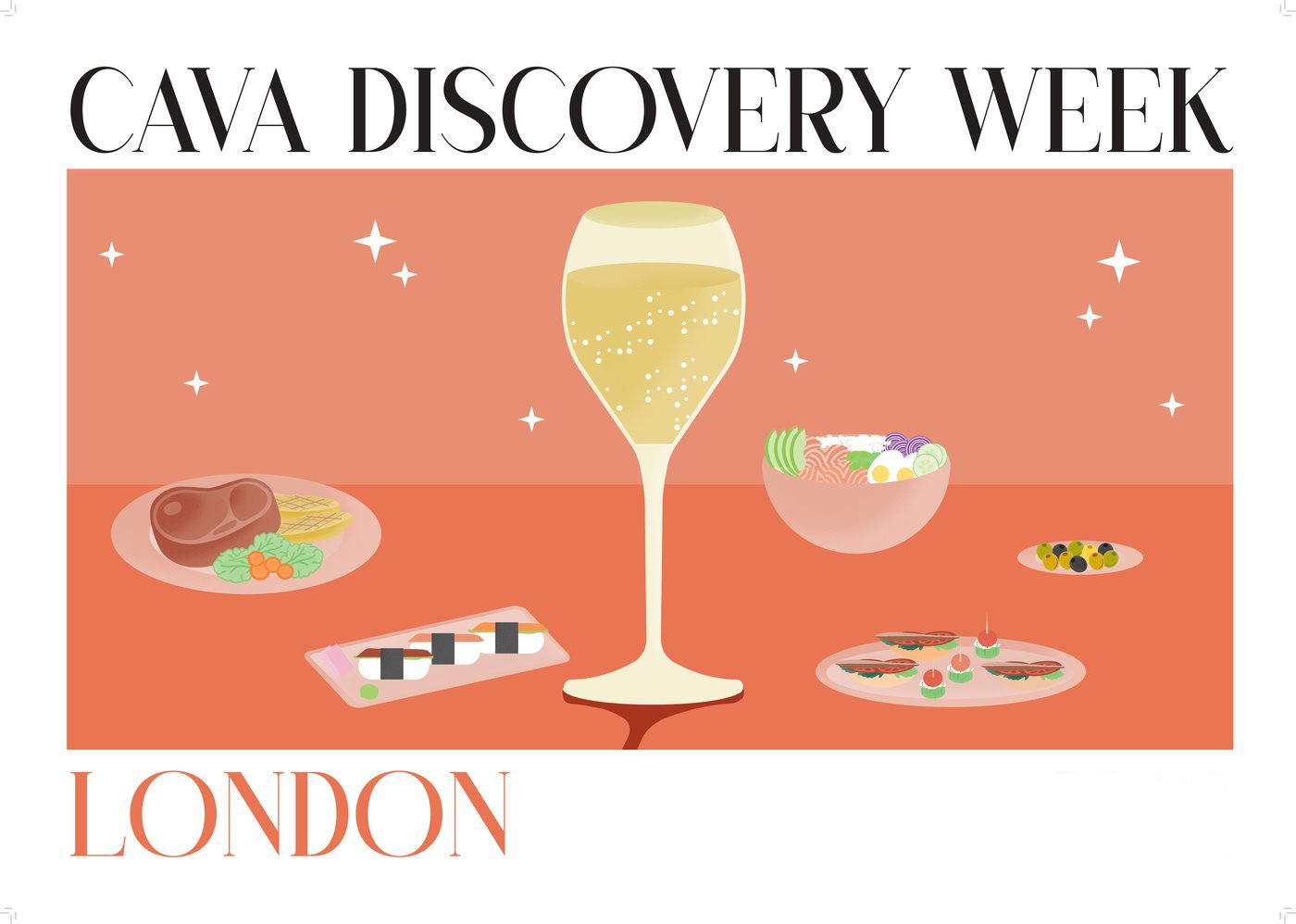 CAVA_Discovery_Week_Poster_A1_pages-to-jpg-00.width-1400_Rev.jpg