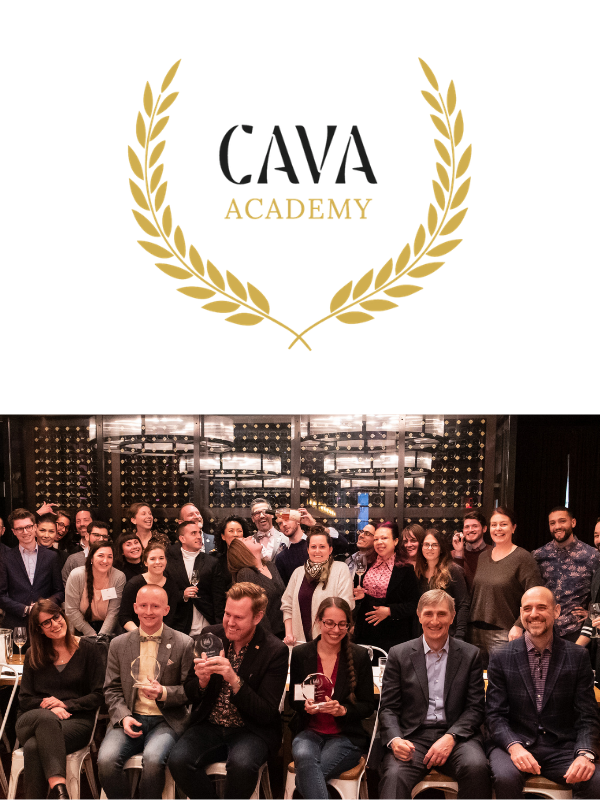 Cava Academy - D.O Cava (2).png