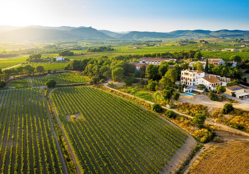 Caves Bolet_Bolet (2).jpg