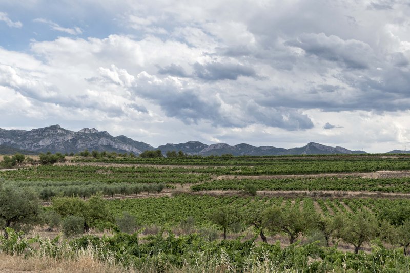 Conca del Gaià