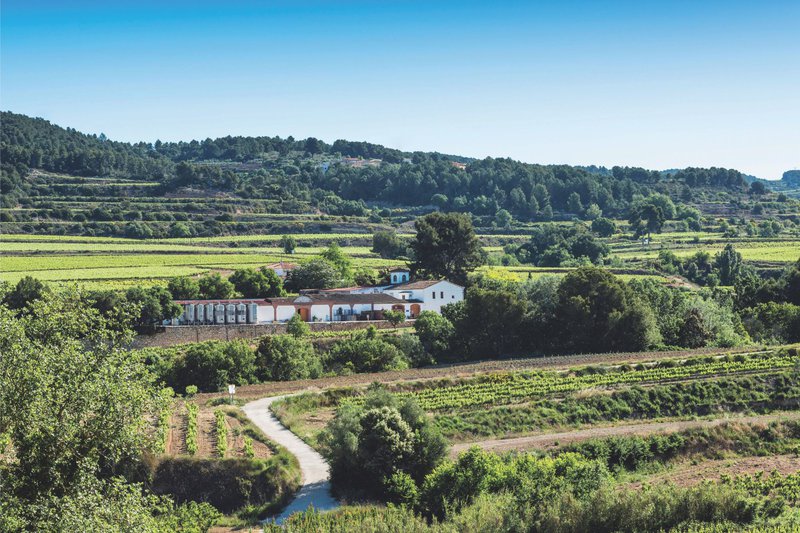 Diseño sin título.jpg