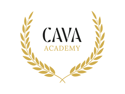 Cava Academy promo home.png