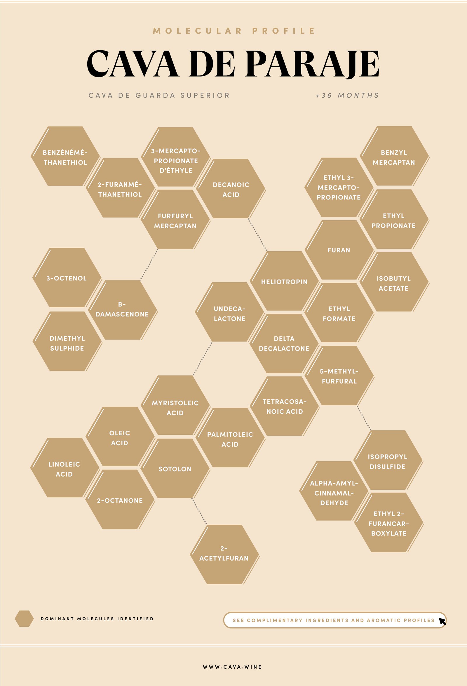 ENG-Summary-Paraje.jpg