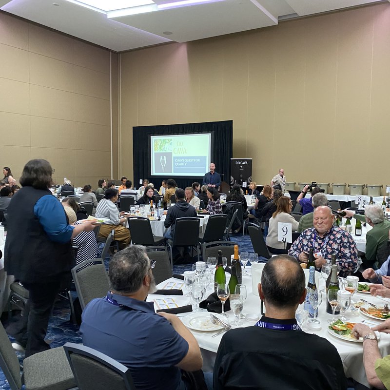 Cava stars at the Gala Dinner of the annual TEXSOM Awards Conference