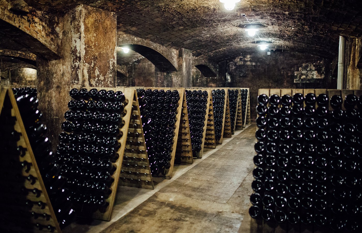 Cava bodega