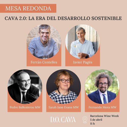 PLANTILLA DO CAVA (1).jpg