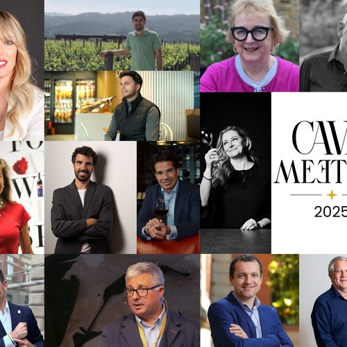 Ponentes CAVA MEETING 2025.jpg