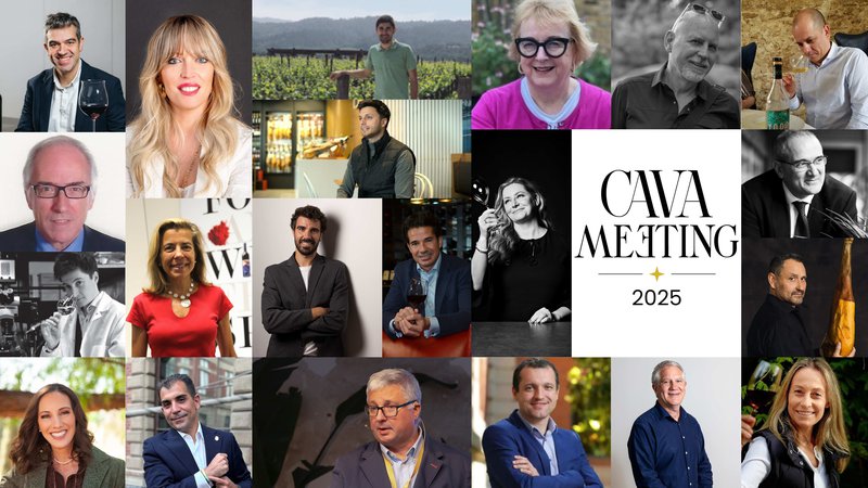 Ponentes CAVA MEETING 2025.jpg