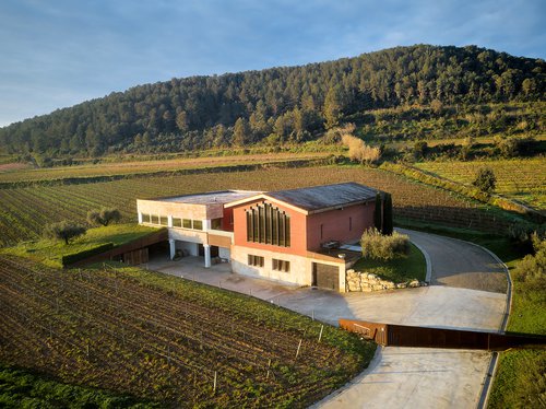 Torrens Moliner_Torrens Moliner (2).jpg