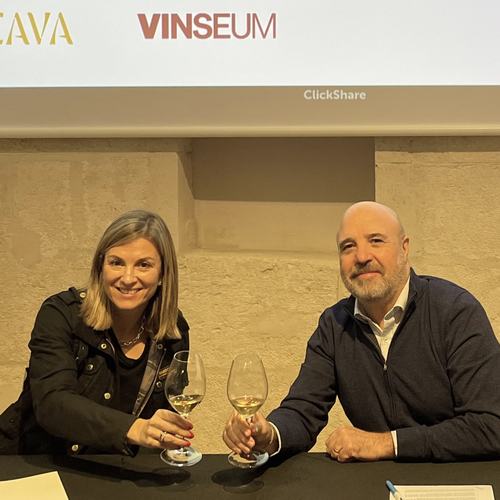 VINSEUM