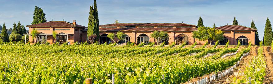 CAVES VENTURA SOLER bodega