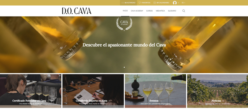 cava academy home.png