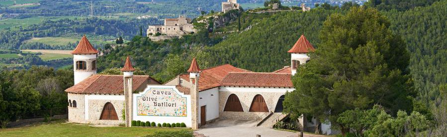 Batllori bodega