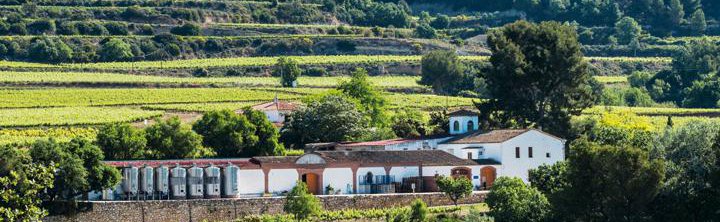 Celler Eudald Massana Noya bodega