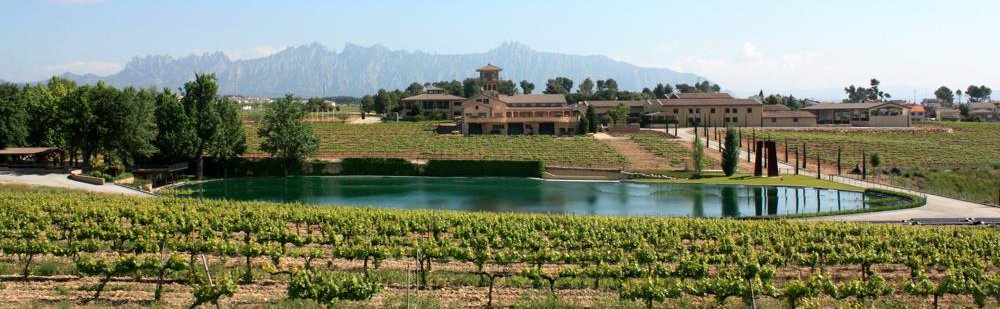 CASTELL D'AGE bodega