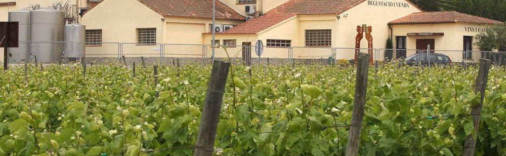 BODEGAS TROBAT S.A bodega